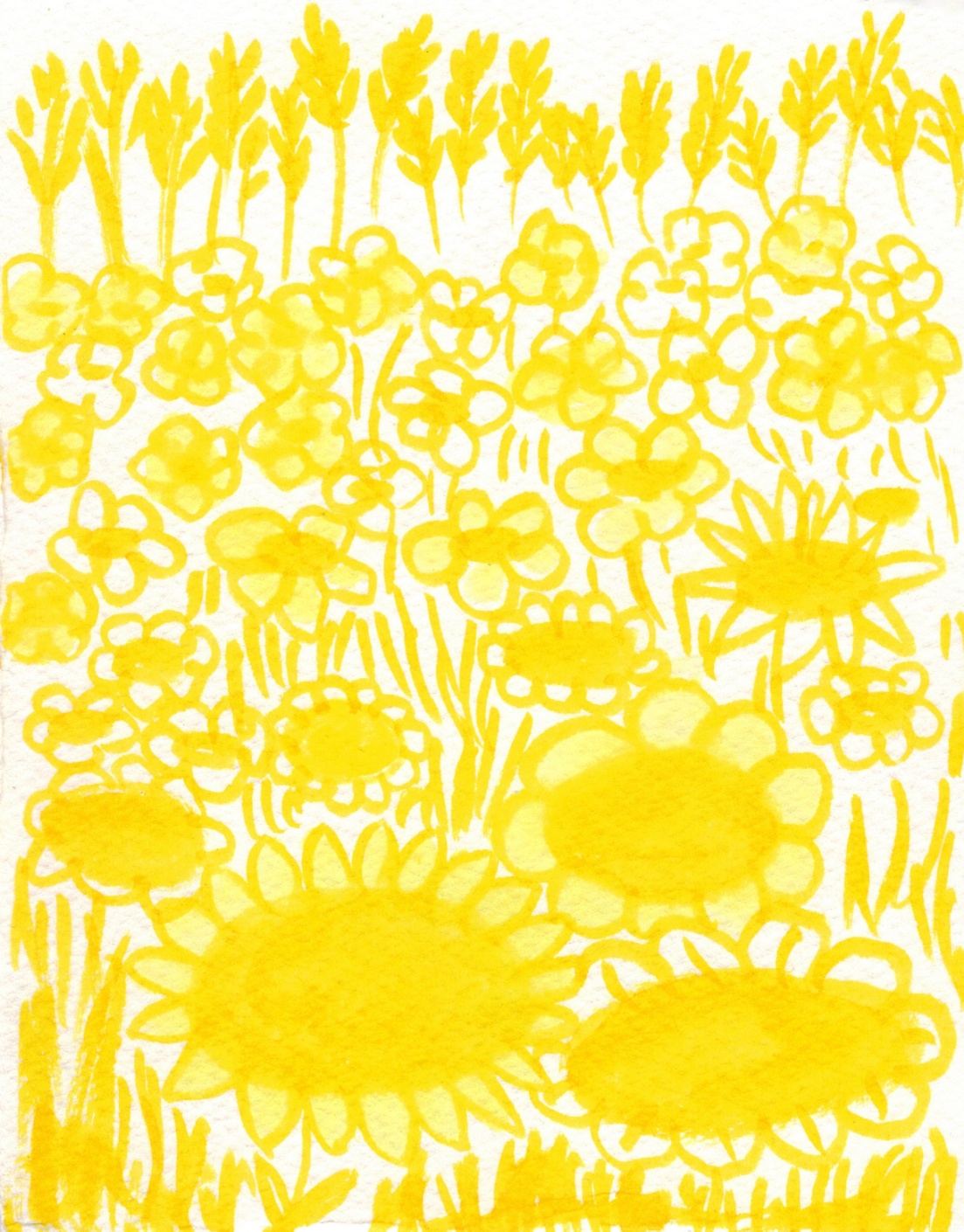 Желтый луг.jpg