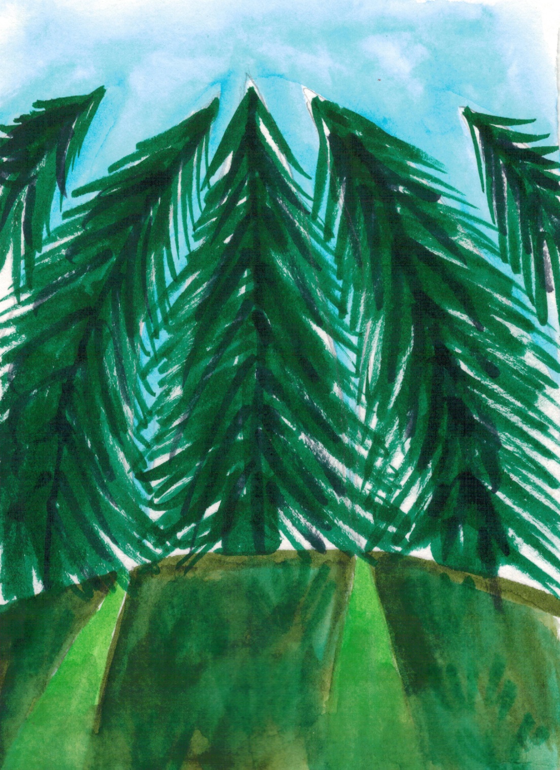 темный лес1.jpg