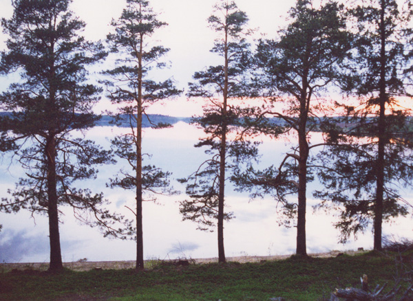 Белая ночь. Бородаевское озеро напротив монастыря [Николай Чуксин]