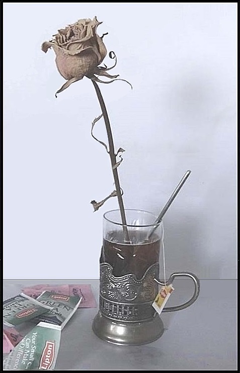 Reviving Dead Tea Rose /      [Dima Detishchev]
