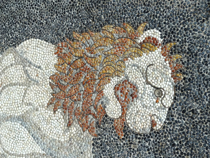 Фрагмент мозаики, музей Пеллы [Долгая Г.]