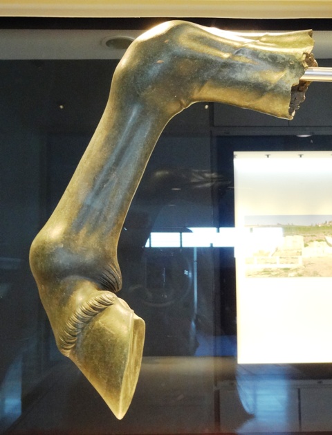 Золотая нога коня, Музей Пеллы [Долгая Г.]