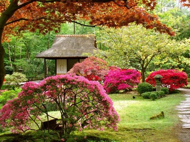 Двор за домом Japan