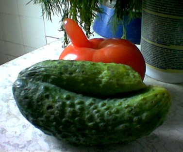 cucumber & tomato [KK]