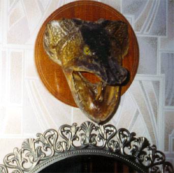 Апрель 2004 г. Томск. Голова 10-килограмовой щуки, пойманной в Оби, встречает гостей в квартире автора. []