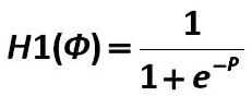 fórmula 20 [  (Alexander A. Shemetev)]