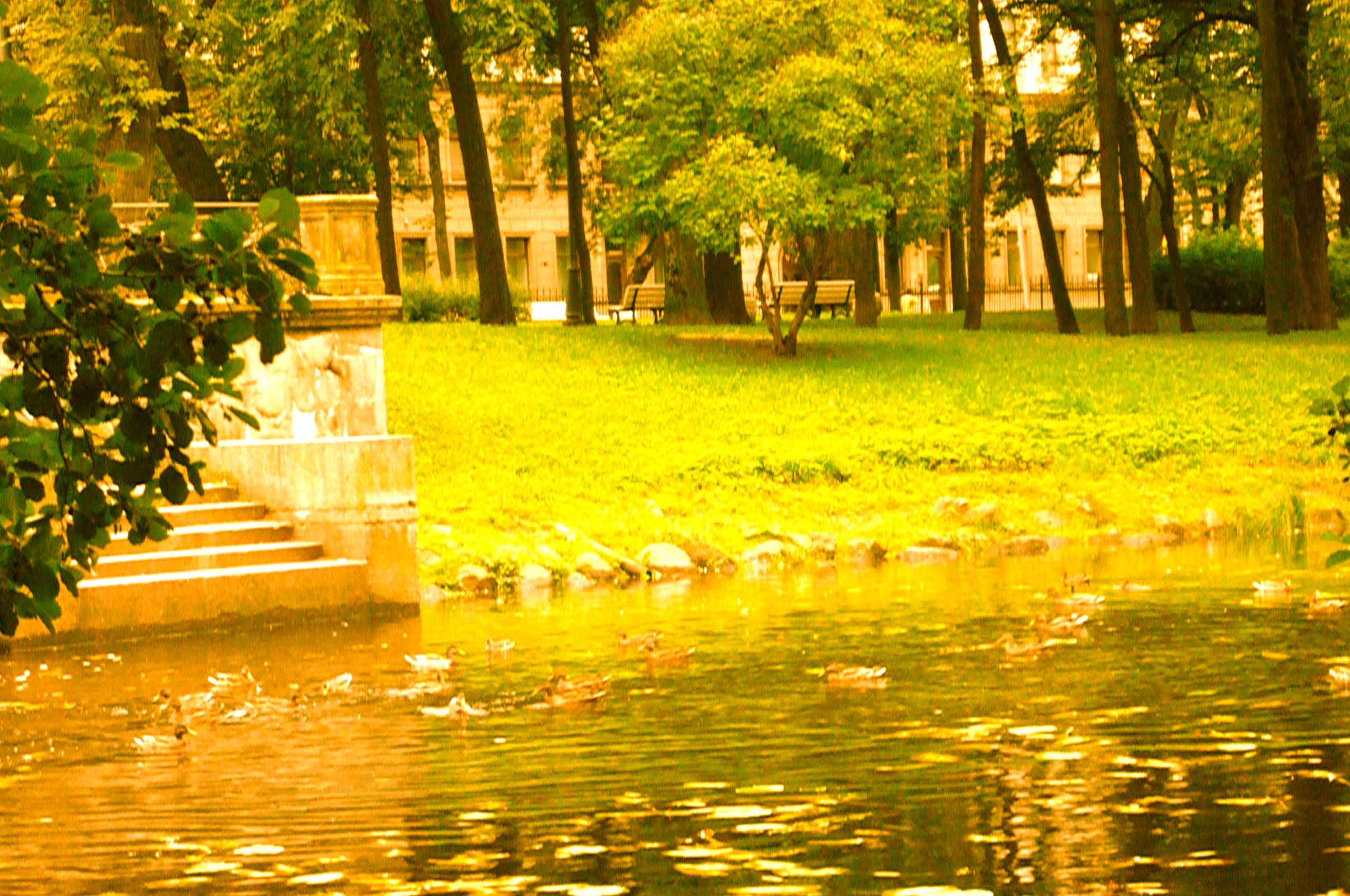 Yelagin park lake at Saint-Petersburg [Alexander Shemetev]