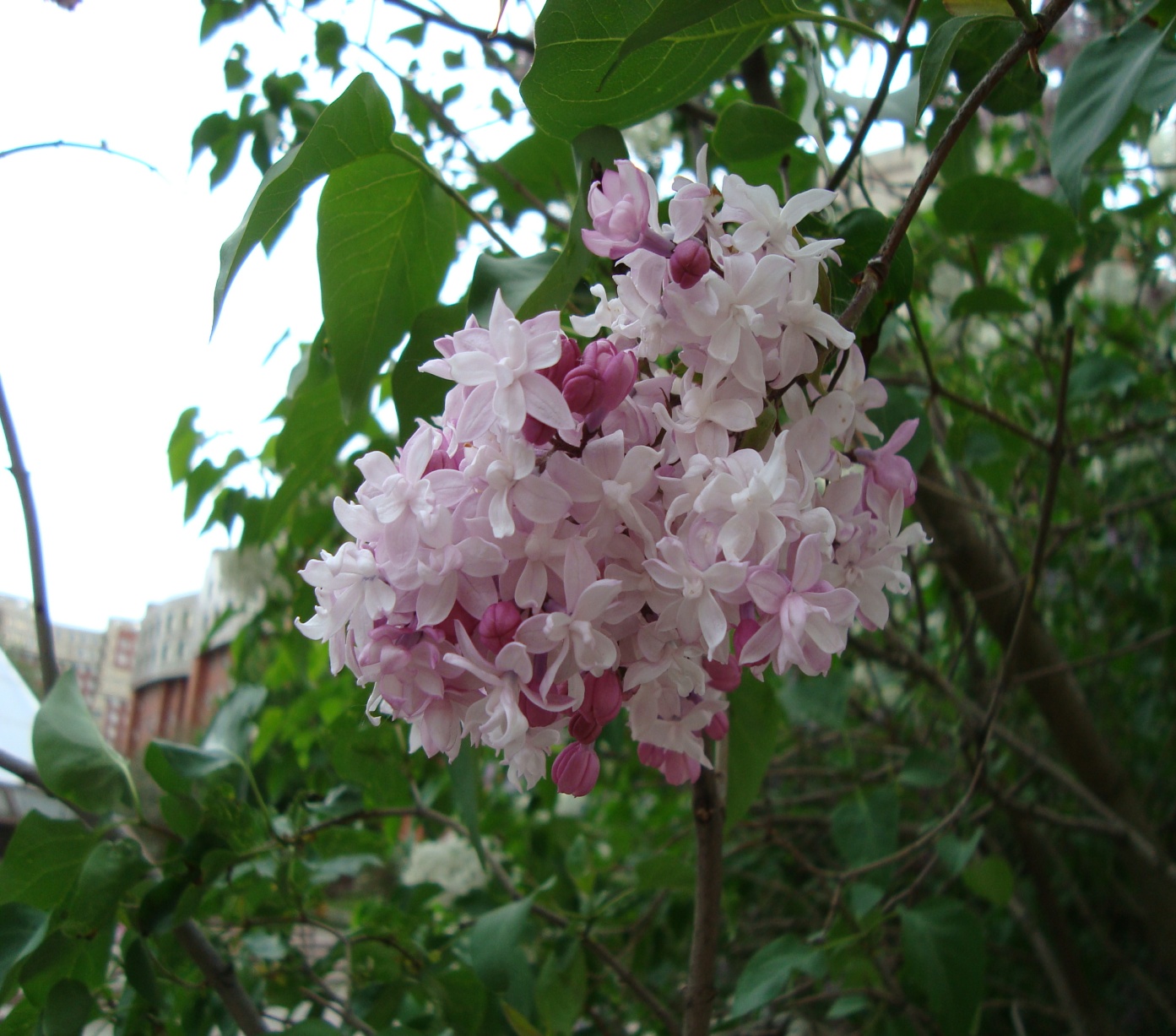 D:\   01.03.2022  !\  \, \DSC04351.JPG