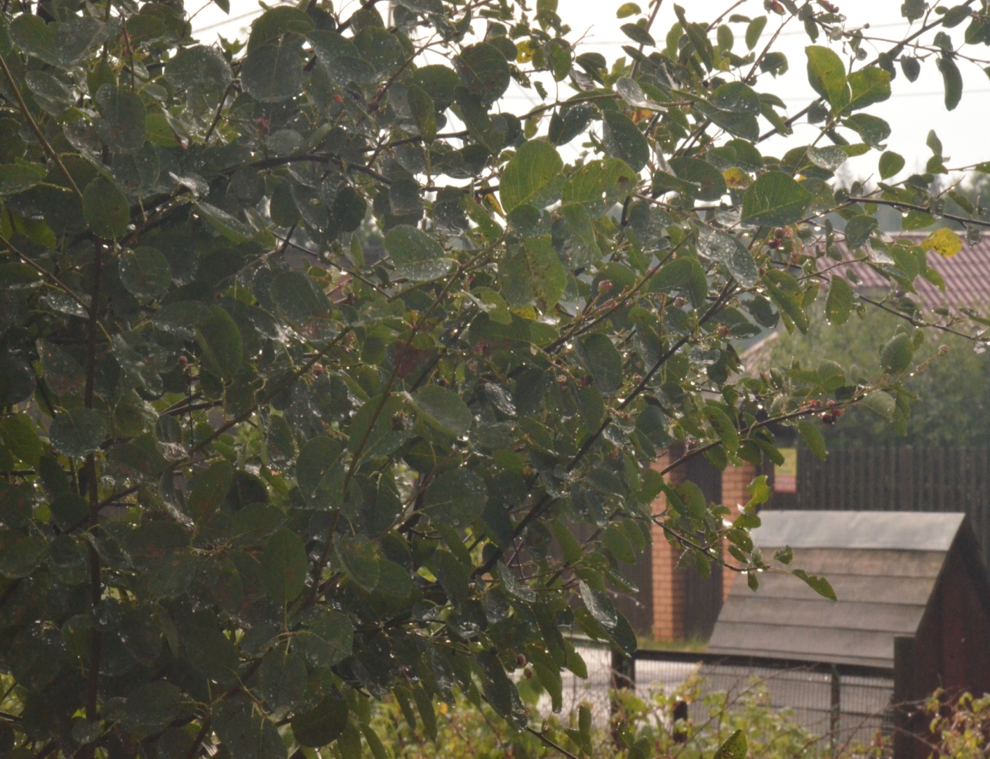 D:\   01.03.2022  !\  \2024\DSC_8105.JPG