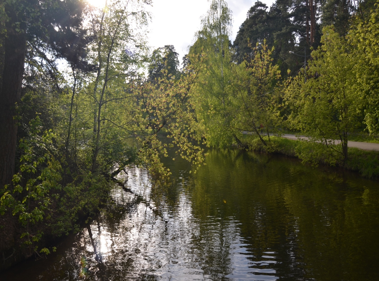 D:\   01.03.2022  !\  \  9.05.24\DSC_7448.JPG