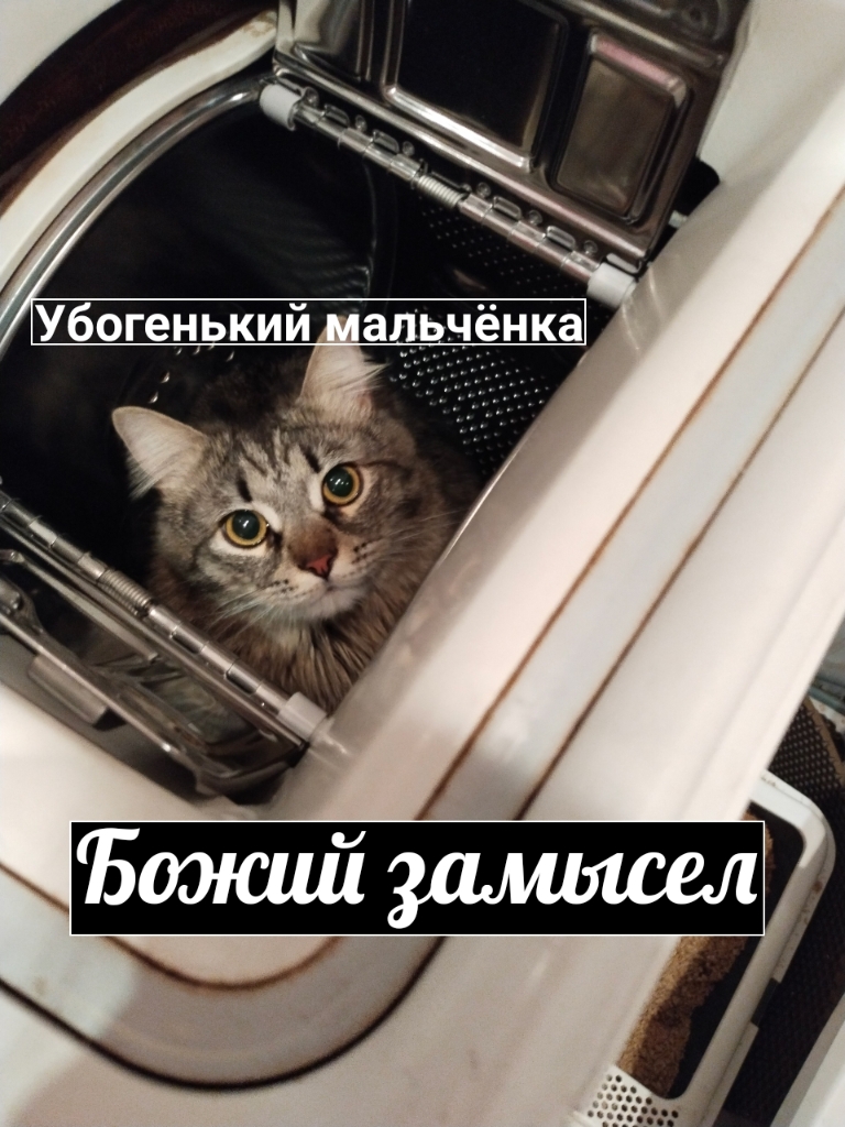       [ ]