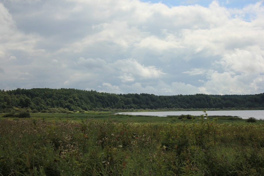 Вид на озеро Кучане возле Петровского []
