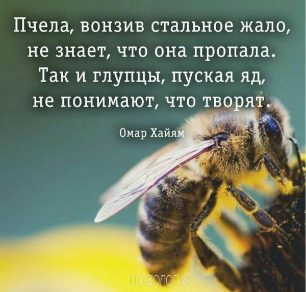  []