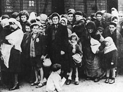 Венгерские евреи на железнодорожной платформе Освенцима. Лето 1944. []